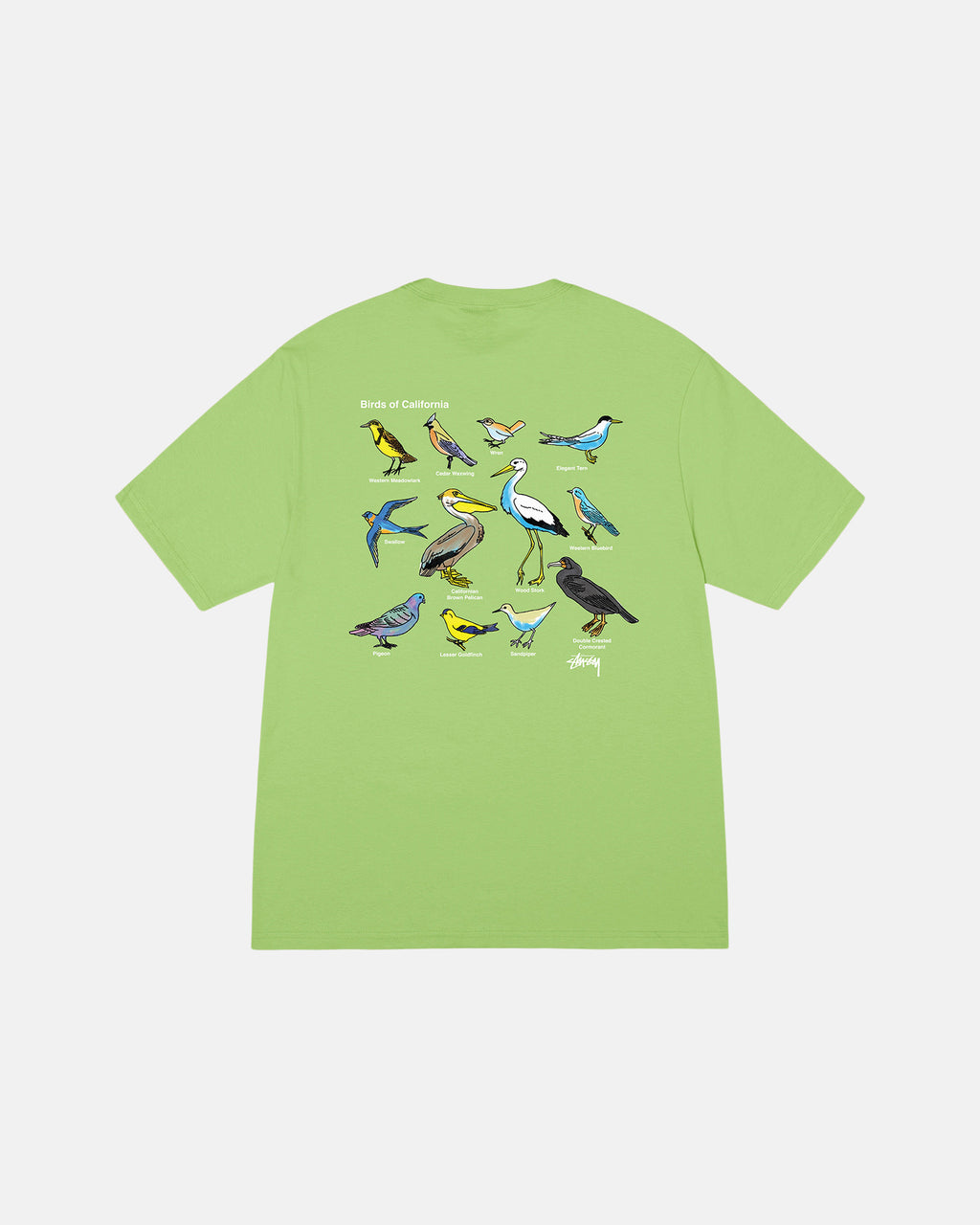 Stussy California Birds Juoksupaidat Tea | TCFSXU-365