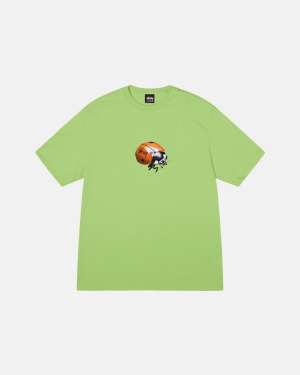 Stussy Ladybug Juoksupaidat Tea | RGJAKY-123