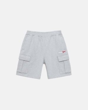 Stussy Urheilu Fleece Shortsit Harmaat | RKWPUT-503